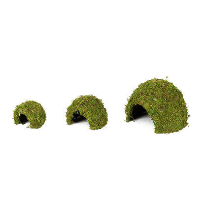 ReptiZoo Natural Moss Dome Hide – Small (11x11x9cm)