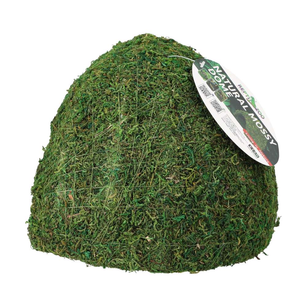 ReptiZoo Natural Moss Dome
