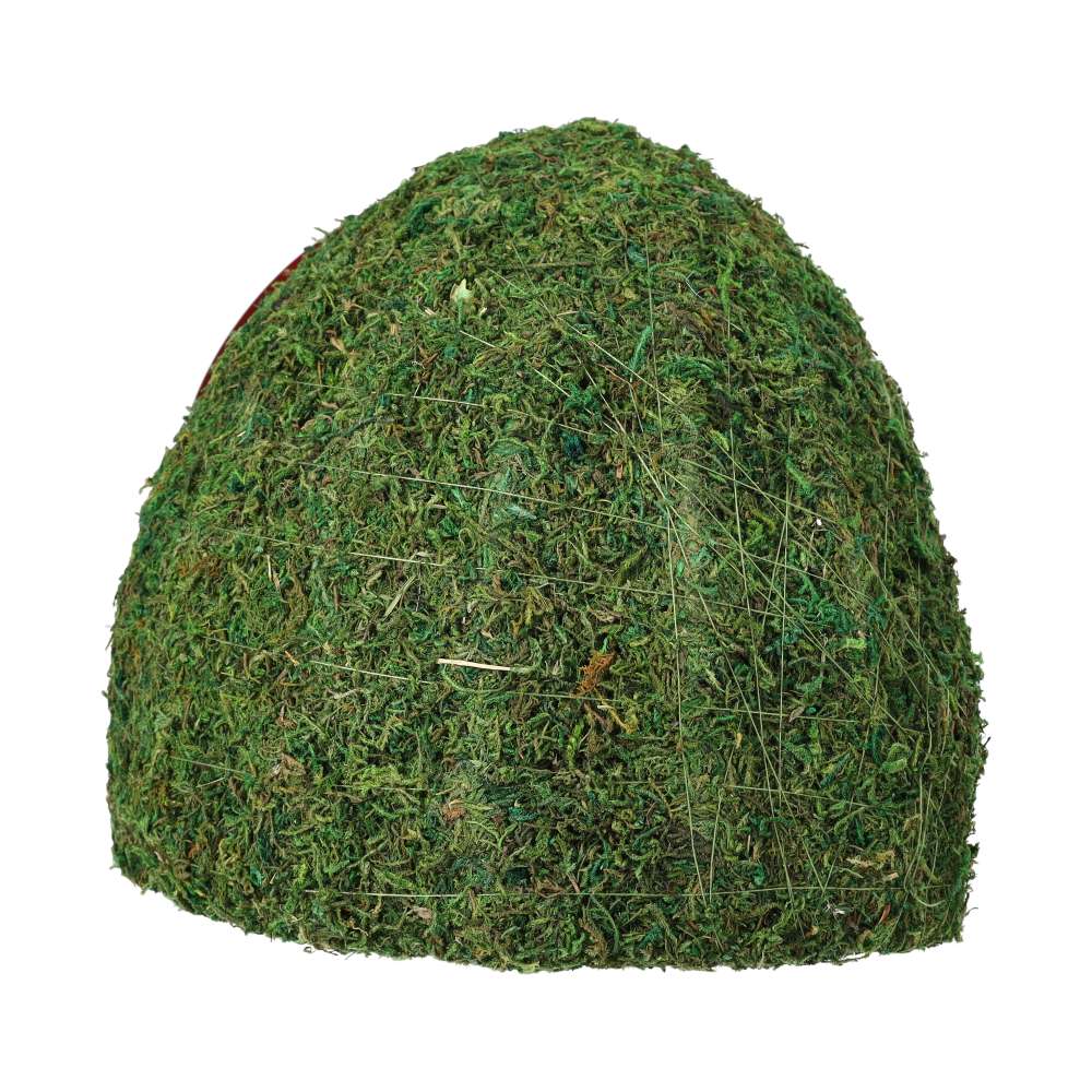 ReptiZoo Natural Moss Dome