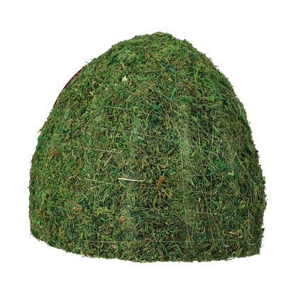 ReptiZoo Natural Moss Dome