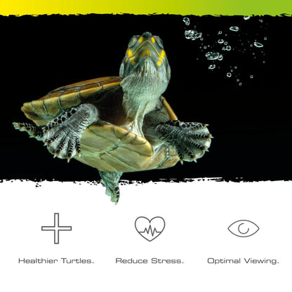 Exo Terra Turtle Haven Terrarium - 90x45x37cm