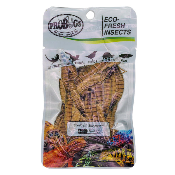 ProBugs Eco Fresh Superworms 20g