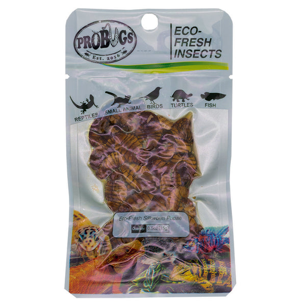 ProBugs Eco Fresh Silkworm pupae 15g