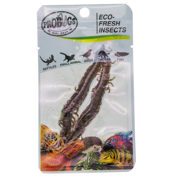 ProBugs Eco Fresh Centipedes 2pcs