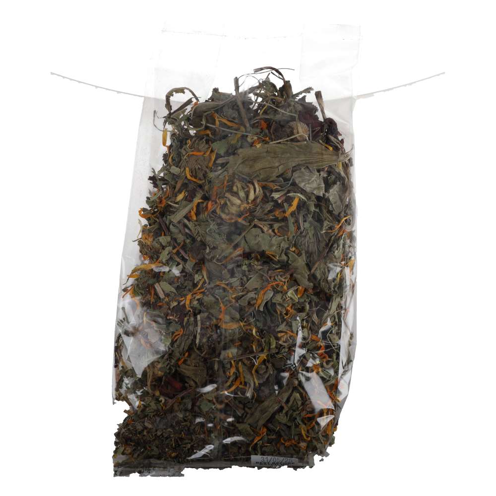ProRep Bearded Dragon Botanical Mix 80g