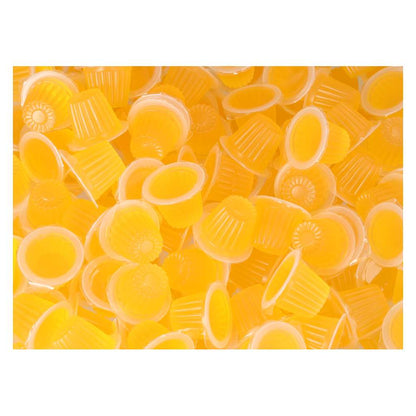 ProRep Jelly Pots Orange 350 Bulk | Reptile & Invertebrate Food