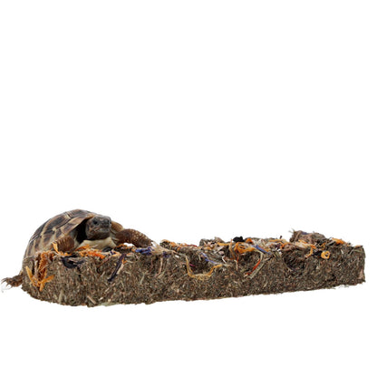 Pro Rep Tortoise Flower Foraging Bar