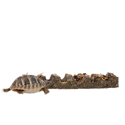 Pro Rep Tortoise Flower Foraging Bar