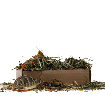 Pro Rep Tortoise Foraging Tray 70g
