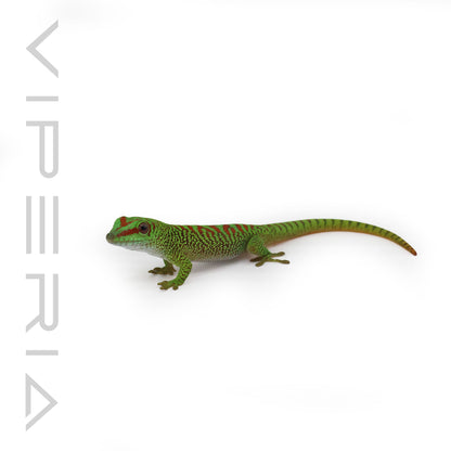 Giant Day Gecko 'High Red'