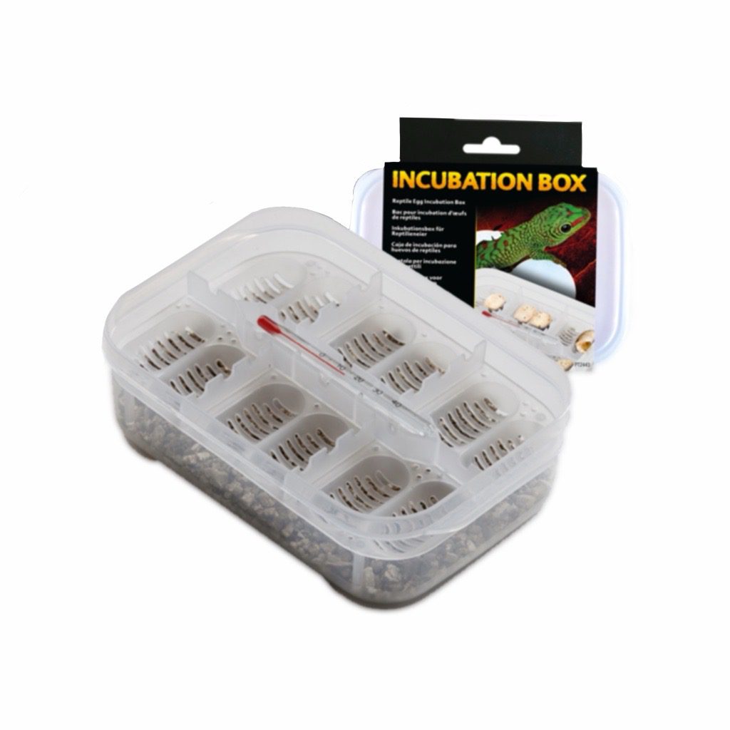 Exo Terra Incubation Box