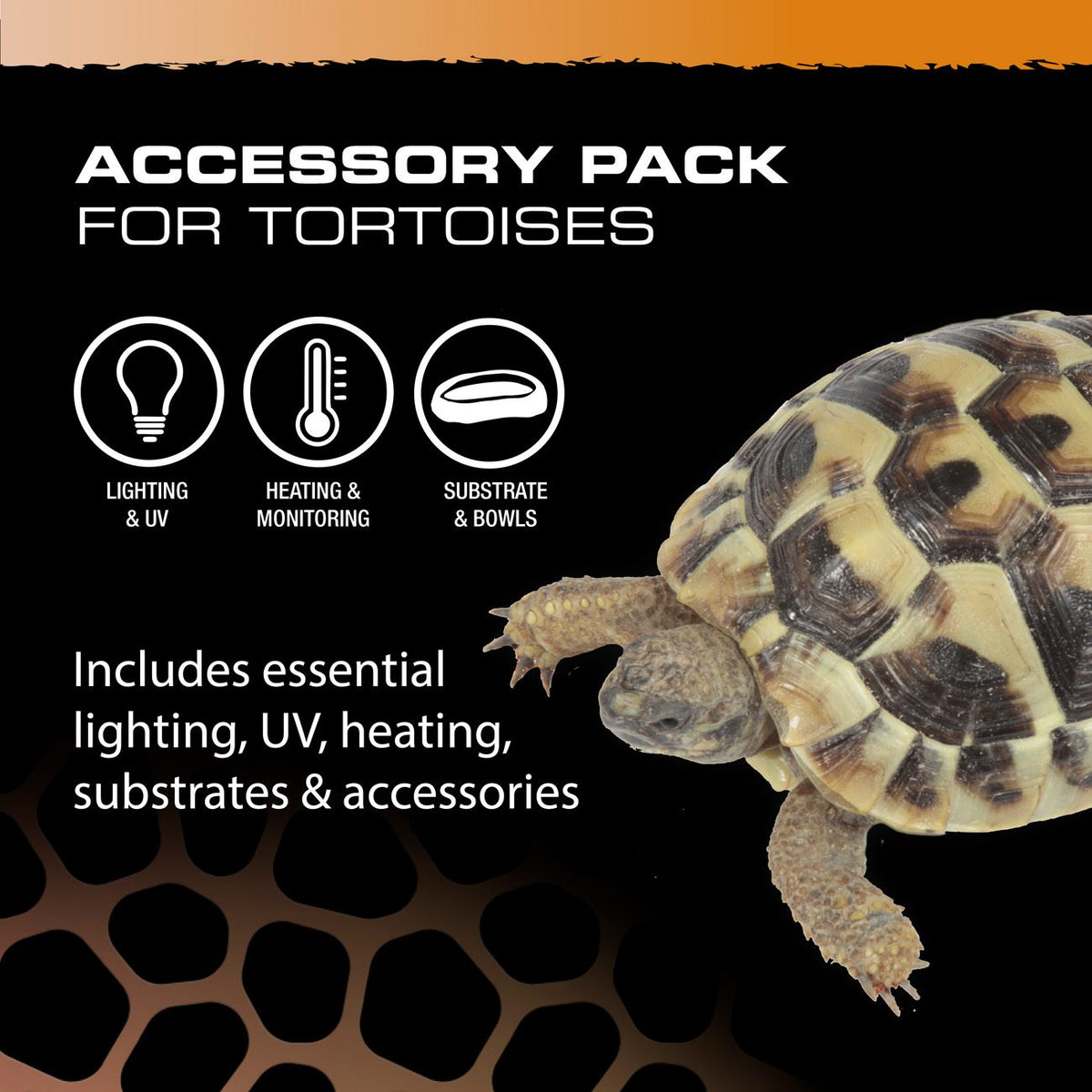 Exo Terra Tortoise Accessory Kit