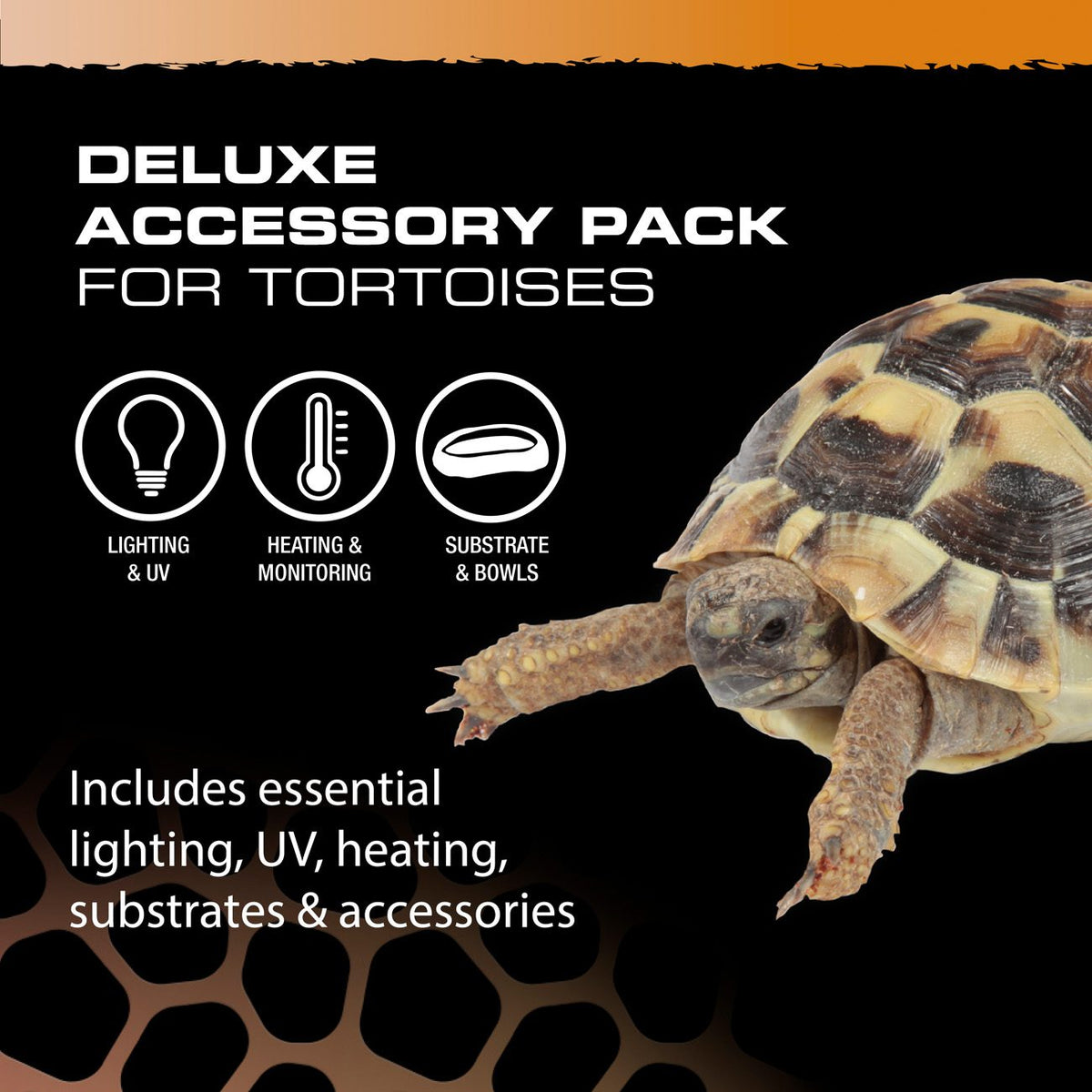 Exo Terra Tortoise Deluxe Accessory Kit