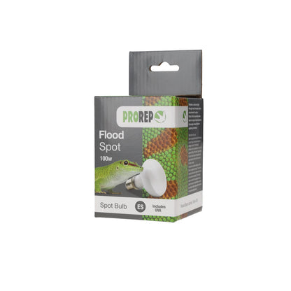 ProRep Bearded Dragon Accessory Kit