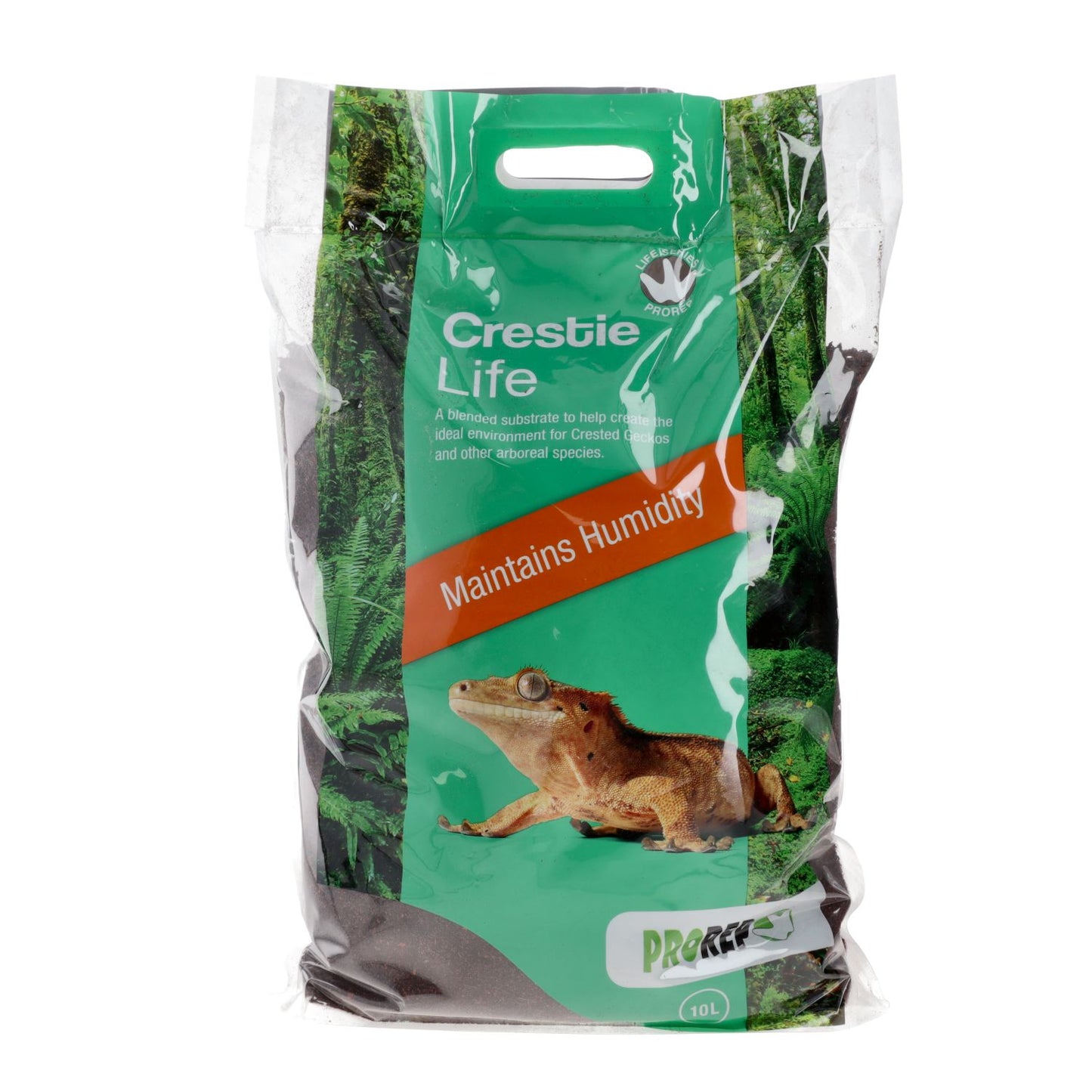 ProRep Crested Gecko Accessory Kit