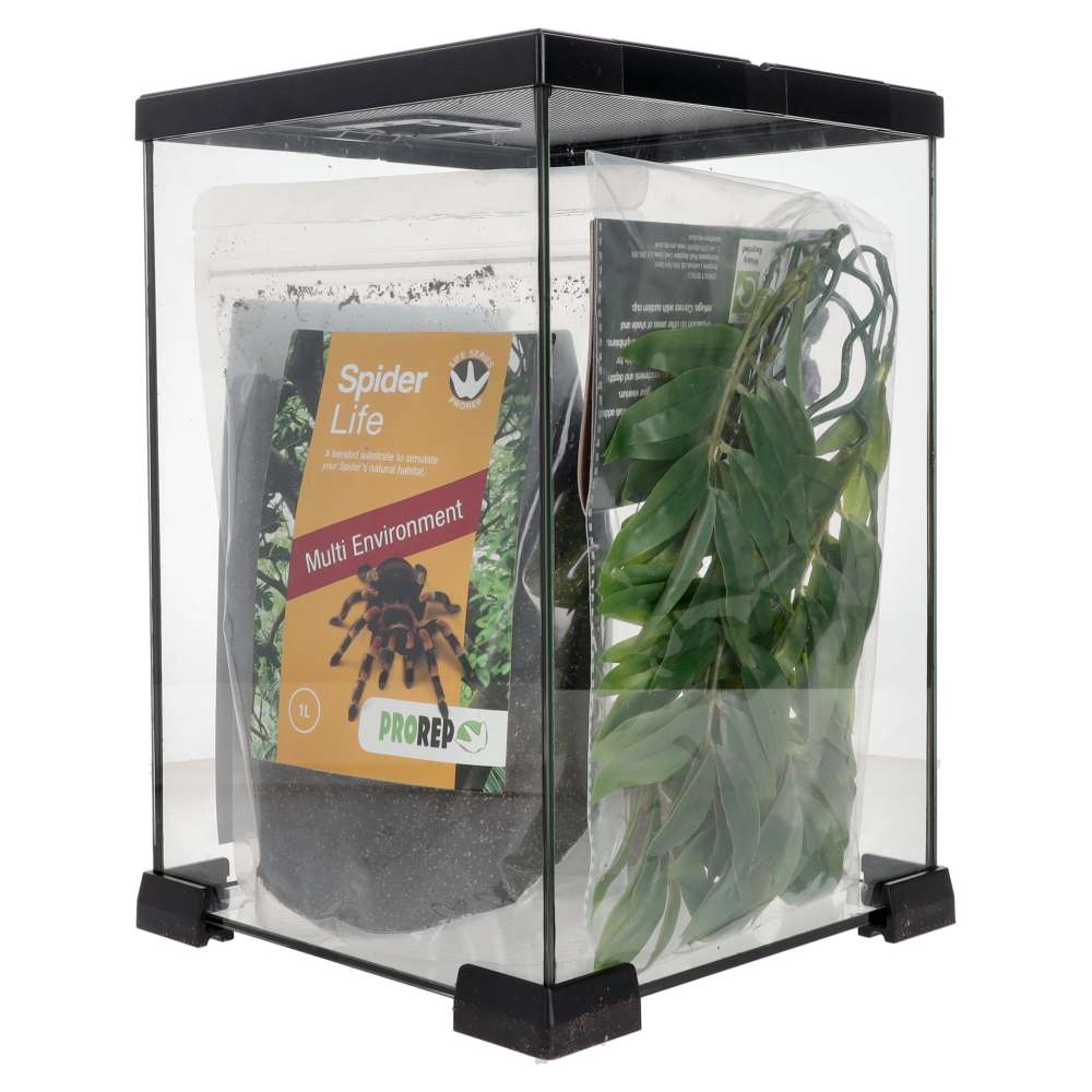 ProRep Creatures Invert Kit Small