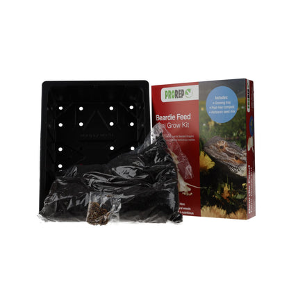 ProRep Beardie Feed Mini Grow Kit