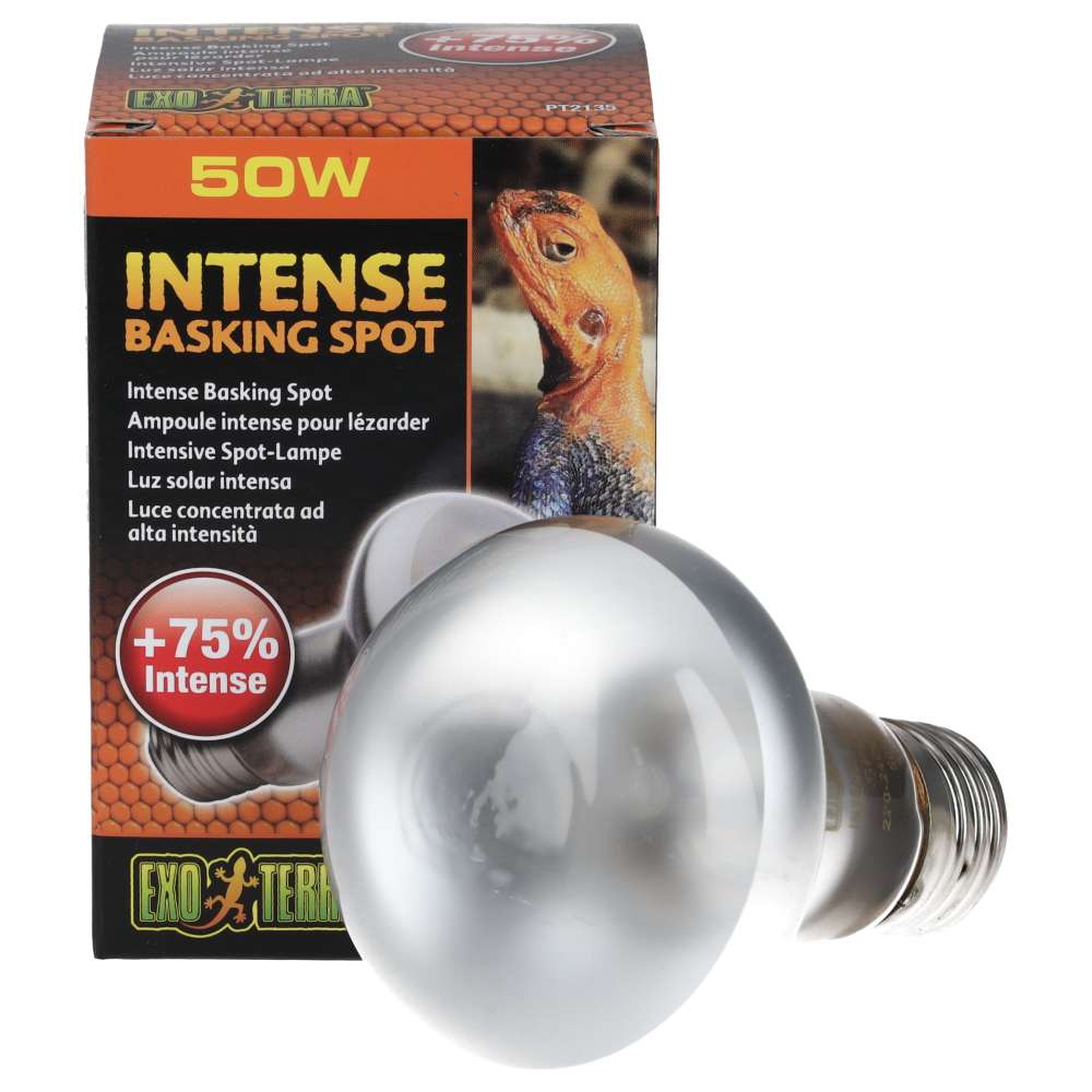 Exo Terra Intense Basking Spot 50W Tight Beam Reptile Lamp PT2135