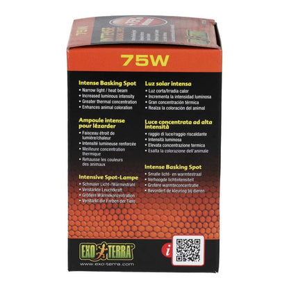Exo Terra Intense Basking Spot 75W Tight Beam Vivarium Lamp PT2136
