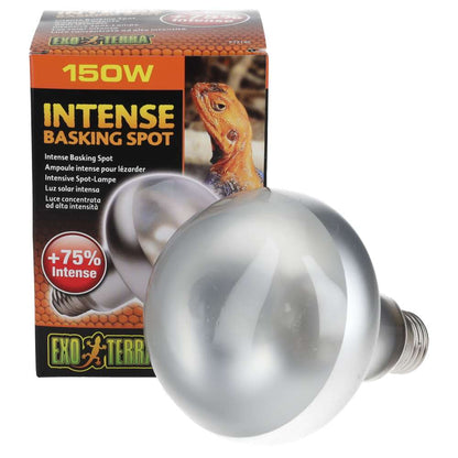 Exo Terra Intense Basking Spot 150W Tight Beam Reptile Lamp PT2140