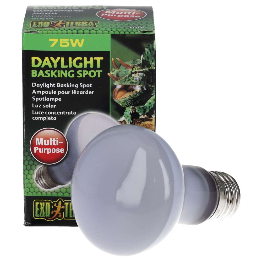 Exo Terra Daylight Basking Spot 75W Reptile Lamp (PT2132)