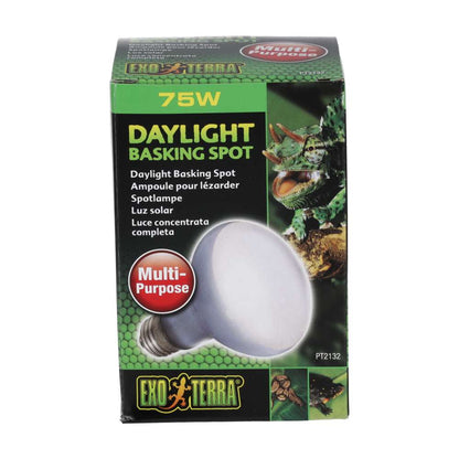 Exo Terra Daylight Basking Spot 75W Reptile Lamp (PT2132)