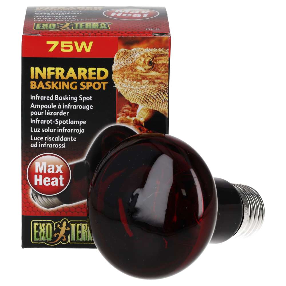 Exo Terra Infrared Basking Spot 75W Reptile Heat Lamp PT2142