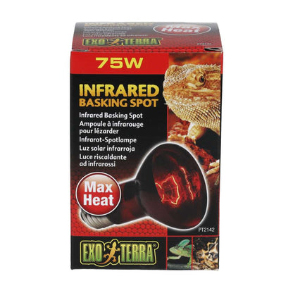 Exo Terra Infrared Basking Spot 75W Reptile Heat Lamp PT2142