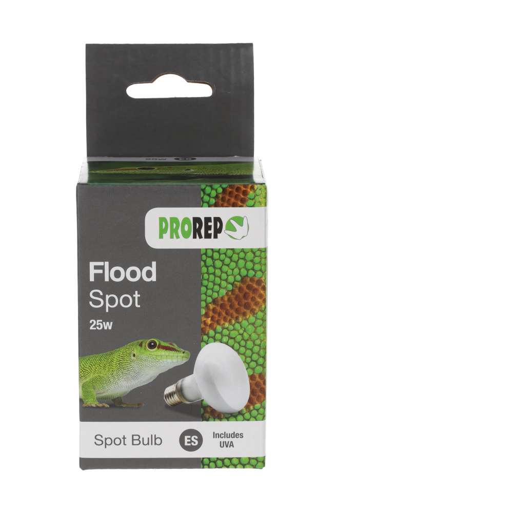 ProRep Flood Lamp