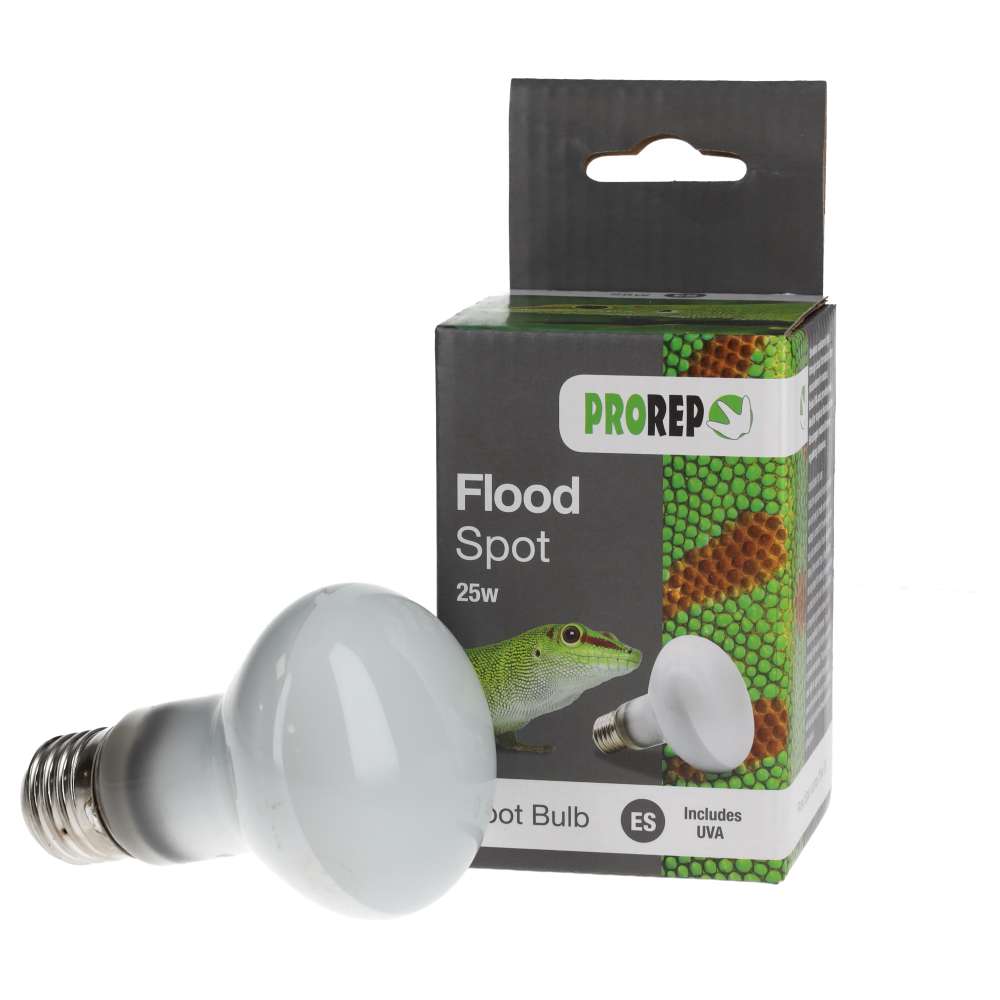 ProRep Flood Lamp