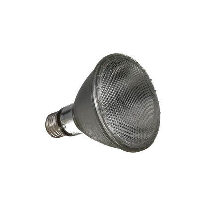 ReptiZoo Halogen Spotlamp 75w PAR3075 – Reptile Basking Lamp
