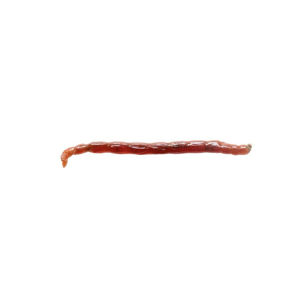 Live Large Bloodworms 100ml
