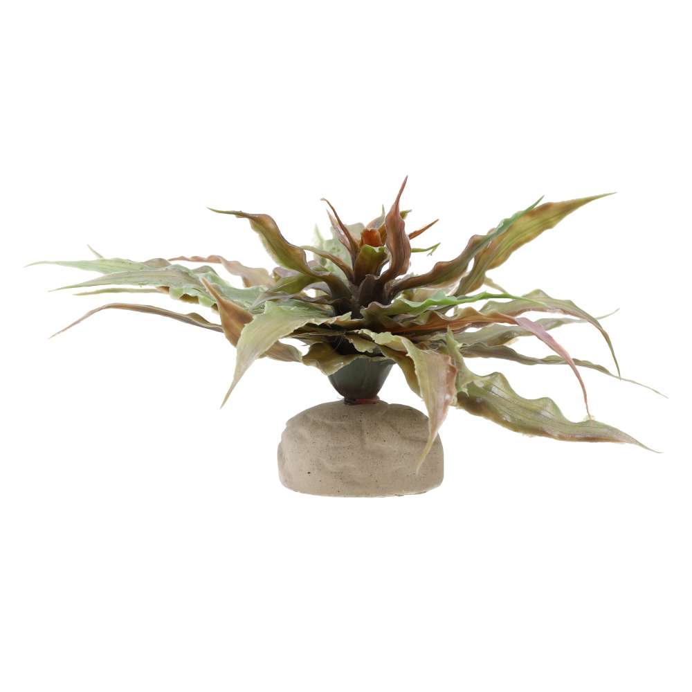 Exo Terra Star Cactus Artificial Vivarium Plant - PT-2982
