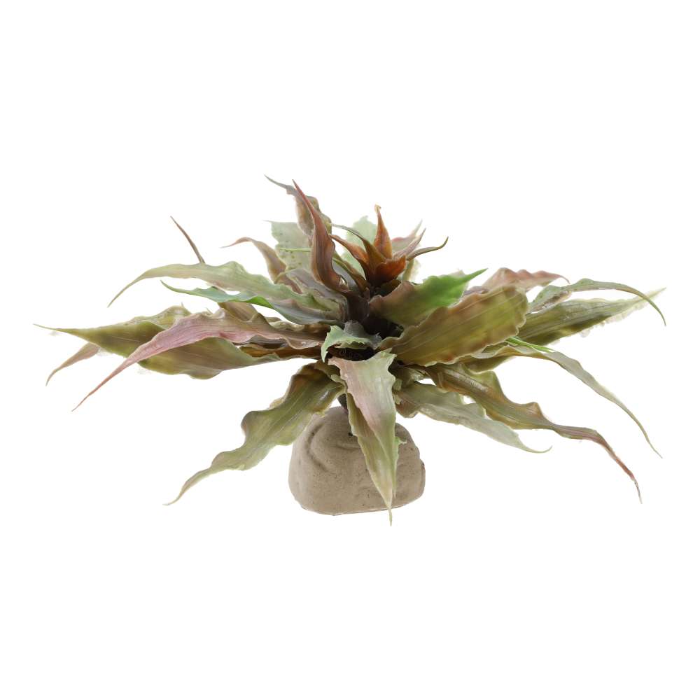 Exo Terra Star Cactus Artificial Vivarium Plant - PT-2982