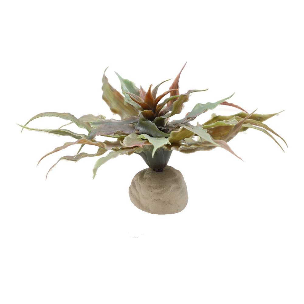 Exo Terra Star Cactus Artificial Vivarium Plant - PT-2982
