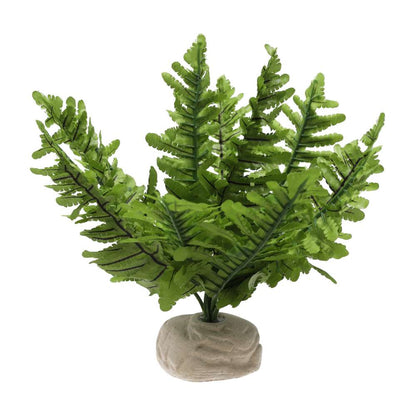 Exo Terra Boston Fern Small Artificial Terrarium Plant PT-2990