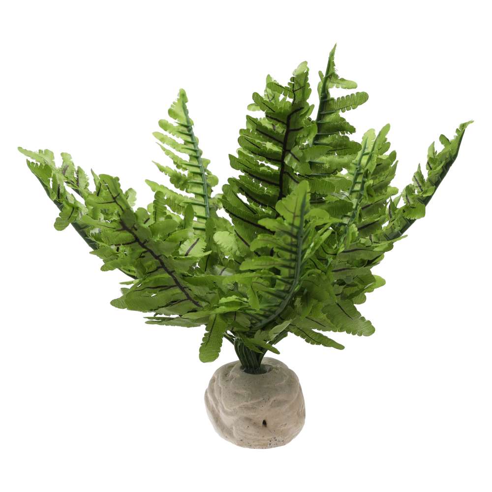 Exo Terra Boston Fern Small Artificial Terrarium Plant PT-2990
