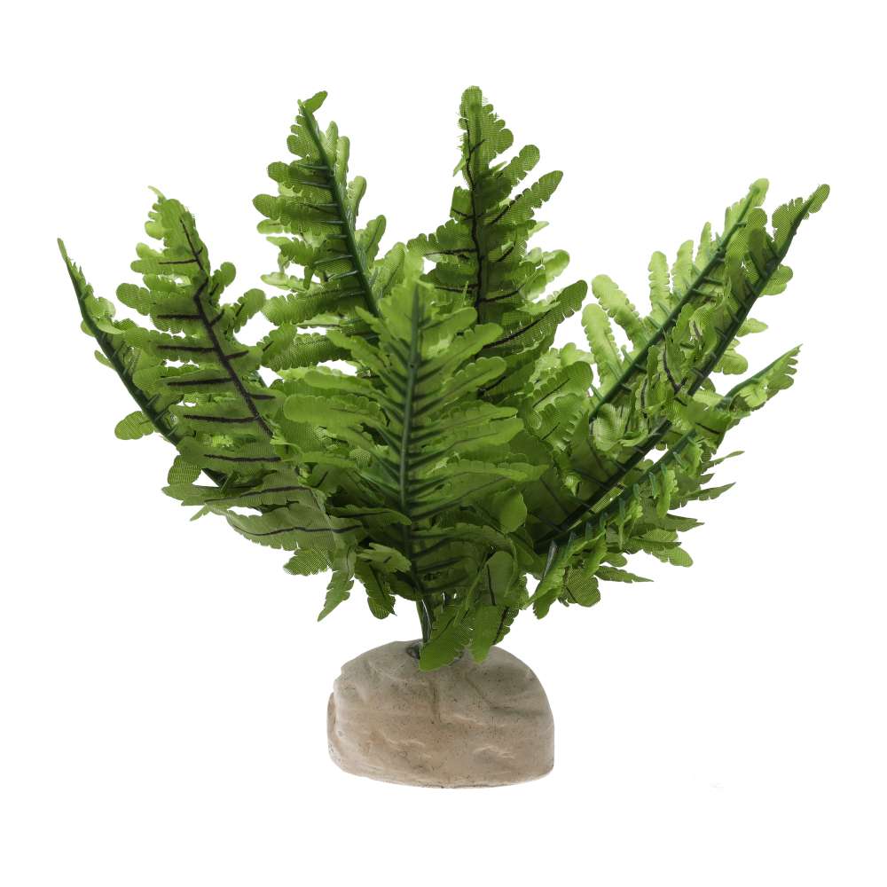 Exo Terra Boston Fern Small Artificial Terrarium Plant PT-2990
