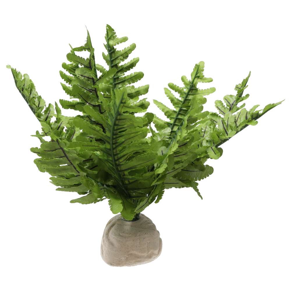 Exo Terra Boston Fern Small Artificial Terrarium Plant PT-2990