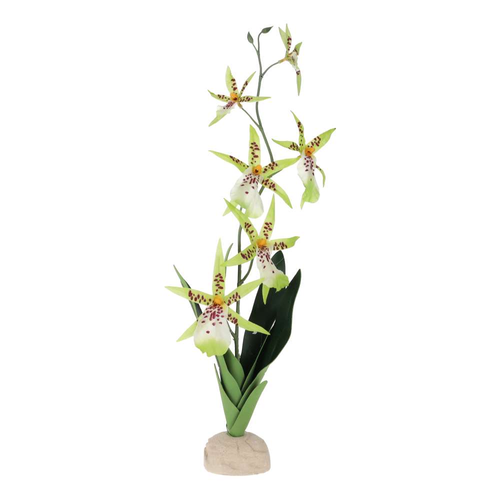 Exo Terra Spider Orchid Artificial Terrarium Plant – PT-2991
