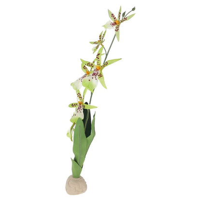 Exo Terra Spider Orchid Artificial Terrarium Plant – PT-2991