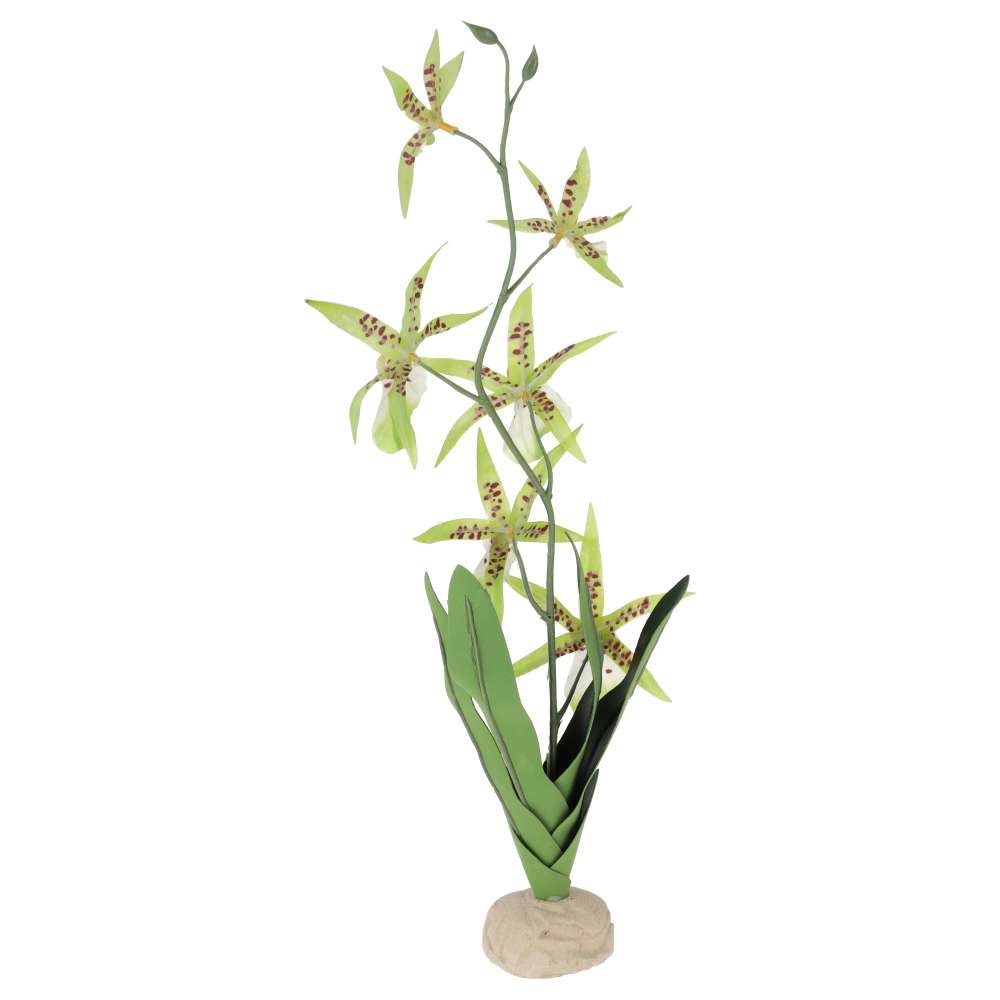 Exo Terra Spider Orchid Artificial Terrarium Plant – PT-2991