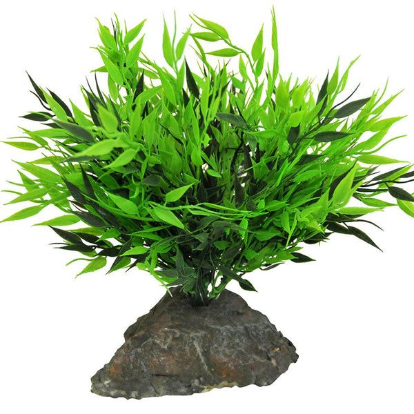 Lucky Reptile Bamboo Tuft