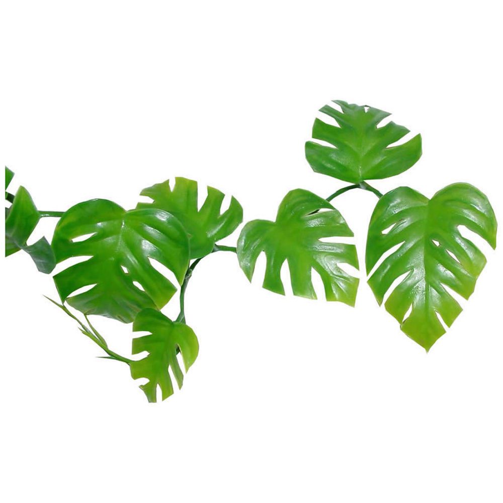 Lucky Reptile Pothos Vine approx. 200 cm