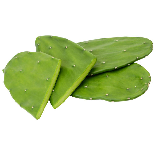 Prickly Pear Pads (Opuntia sp)