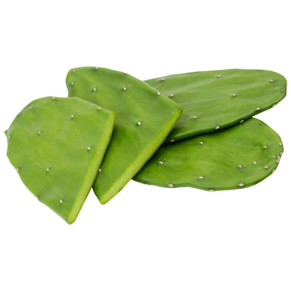 Prickly Pear Pads (Opuntia sp)