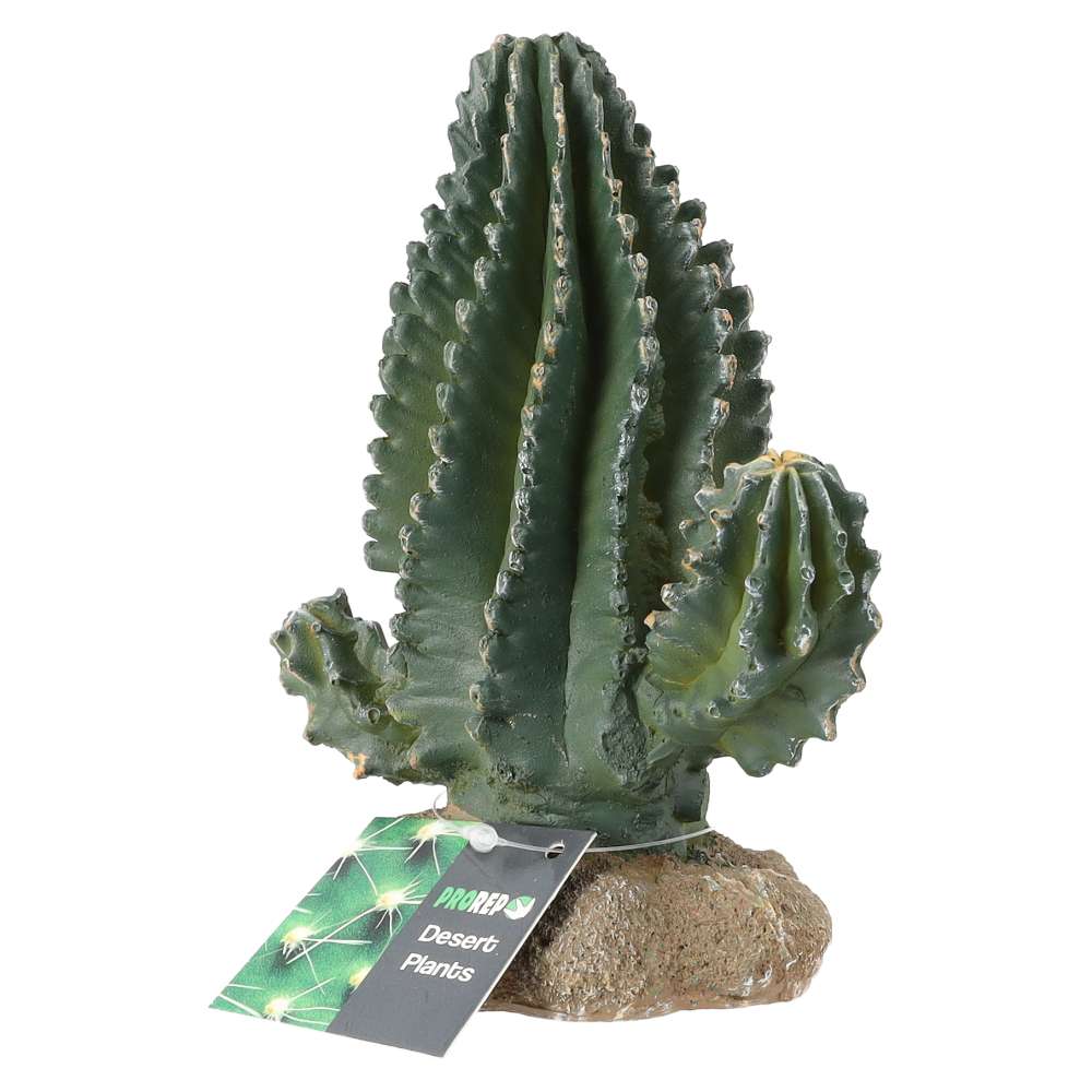 ProRep Resin Cactus