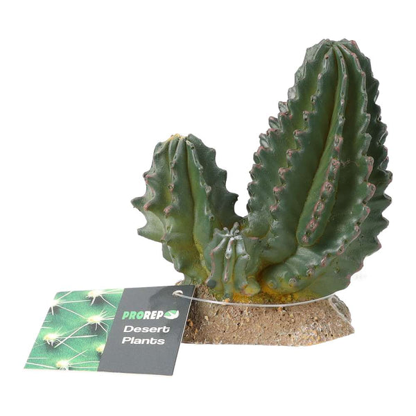 ProRep Resin Cactus Group