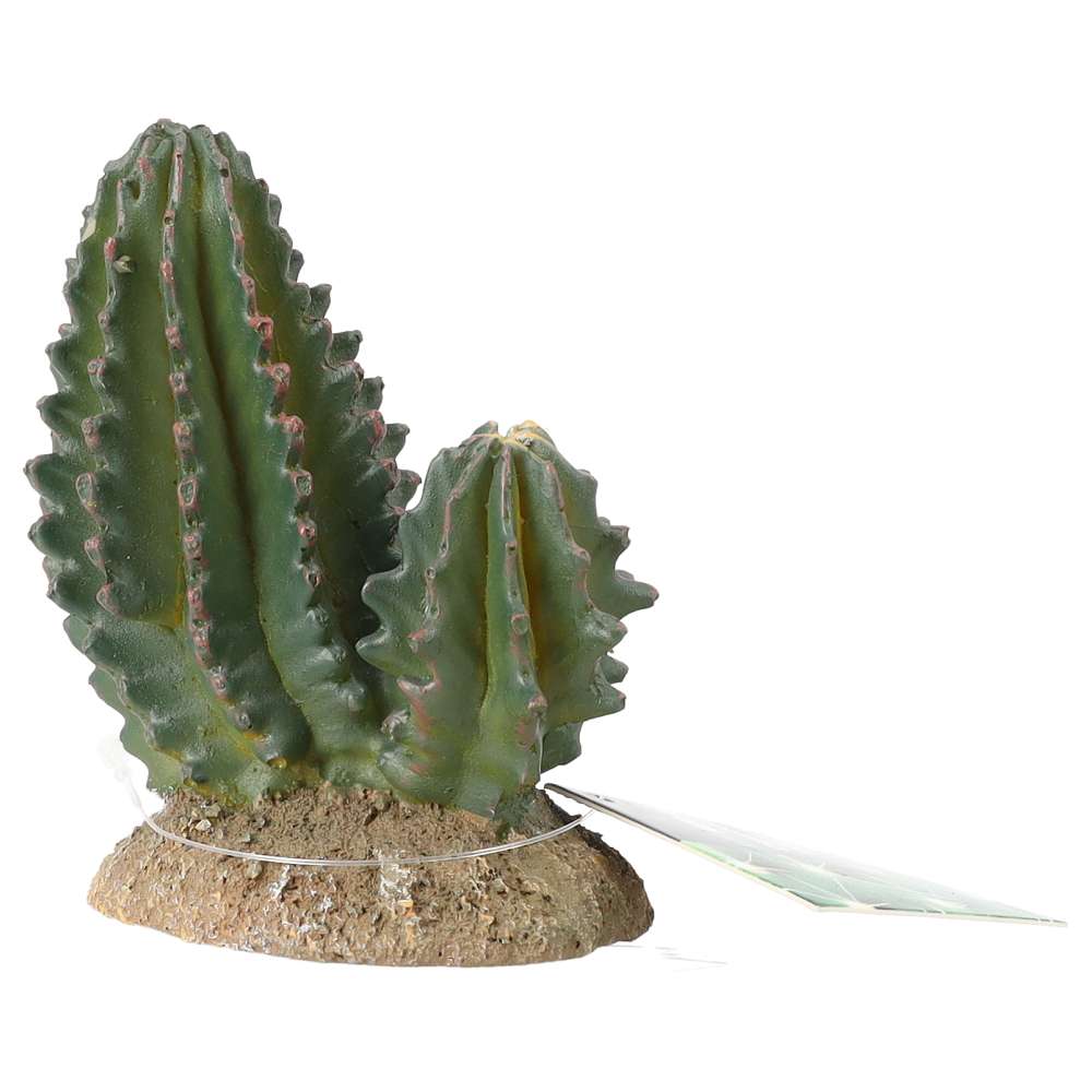 ProRep Resin Cactus Group