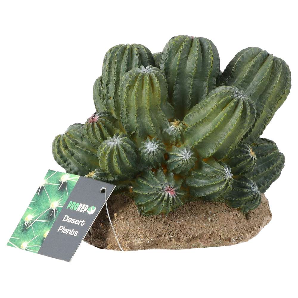 ProRep Resin Cactus Cluster